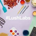どんな肌色にも合う化粧品を。LUSHが開発する固形ファンデーション