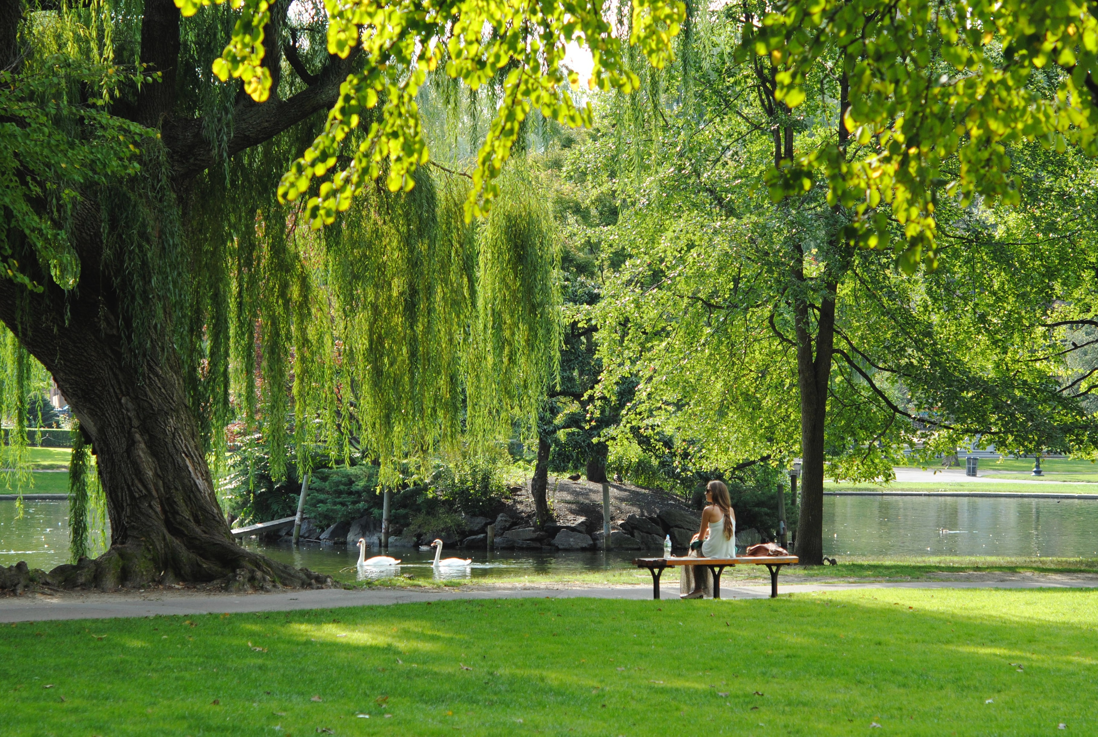 urban nature
