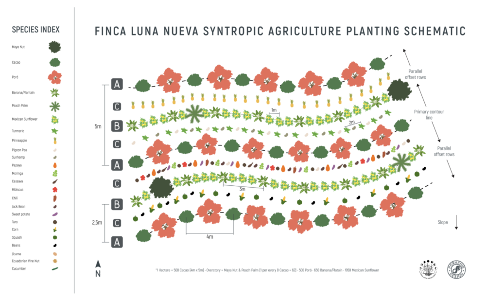 Finca Luna Nueva